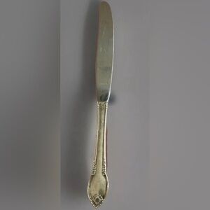 International Silver REMEMBRANCE 1948 Dinner Knife 9-3/8" Stainless Silver